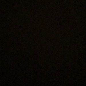 Meet your Posher, Maddie